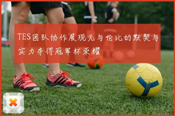 TES团队协作展现无与伦比的默契与实力夺得冠军杯荣耀