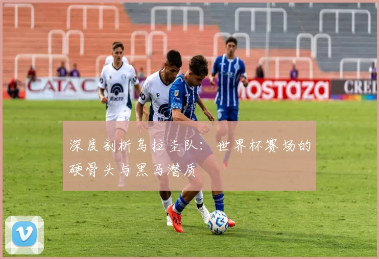 深度剖析乌拉圭队:世界杯赛场的硬骨头与黑马潜质