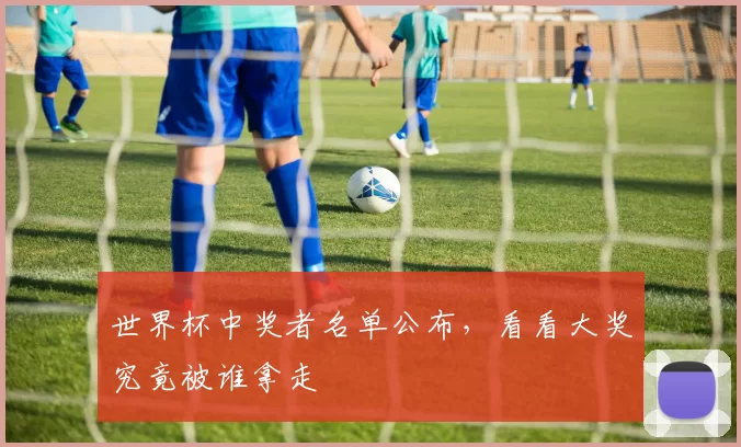 世界杯中奖者名单公布,看看大奖究竟被谁拿走