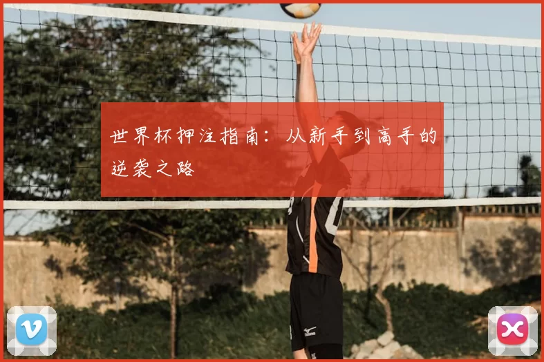 世界杯押注指南:从新手到高手的逆袭之路