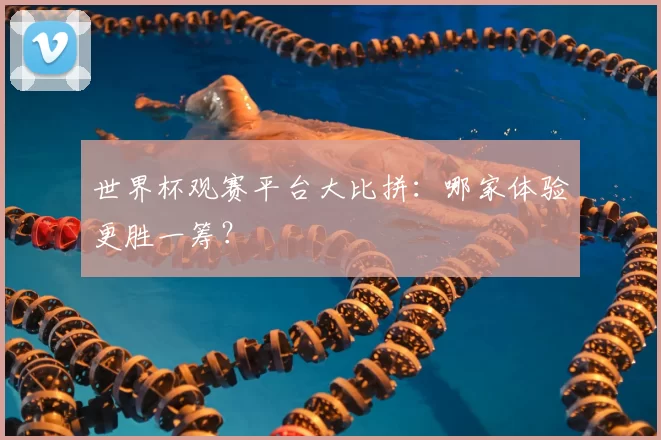 世界杯观赛平台大比拼:哪家体验更胜一筹?