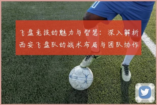 飞盘竞技的魅力与智慧:深入解析西安飞盘队的战术布局与团队协作