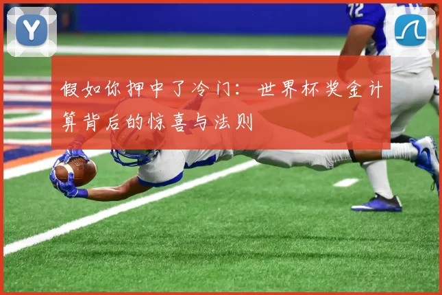 假如你押中了冷门：世界杯奖金计算背后的惊喜与法则