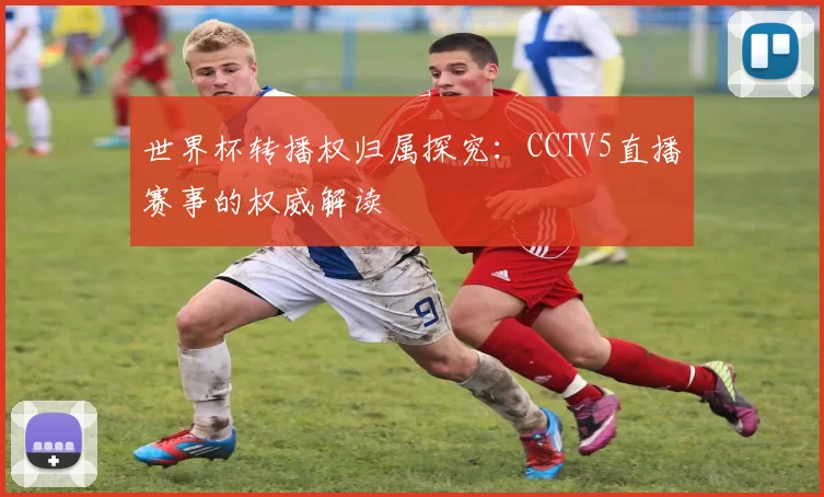 世界杯转播权归属探究：CCTV5直播赛事的权威解读