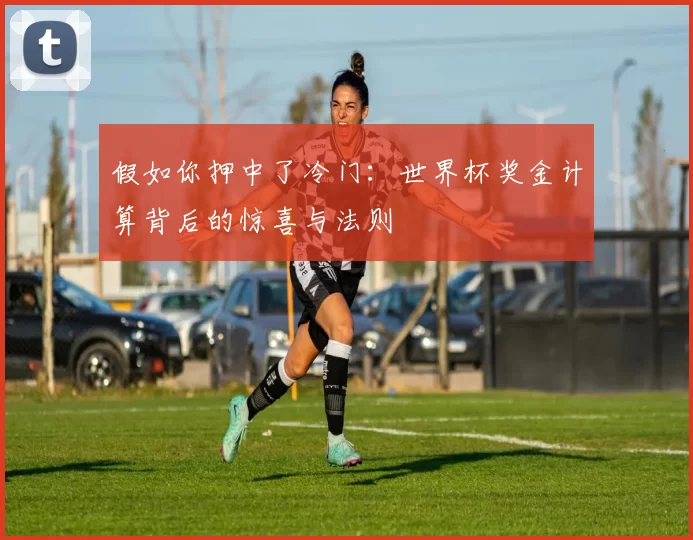 假如你押中了冷门:世界杯奖金计算背后的惊喜与法则