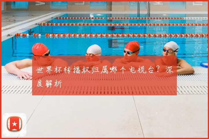 世界杯转播权归属哪个电视台？深度解析